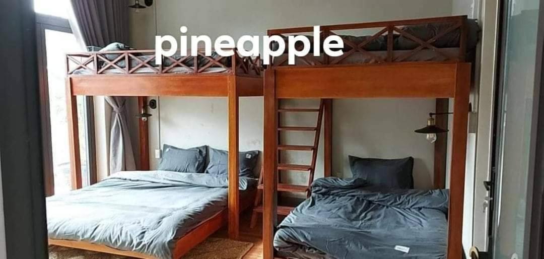 S'Nghe Homestay Mang Den Kon Von Kla ภายนอก รูปภาพ